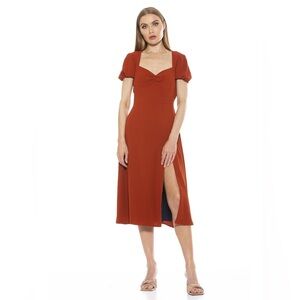 NWT Alexia Admor Gracie sweetheart dress - sz 12 - copper